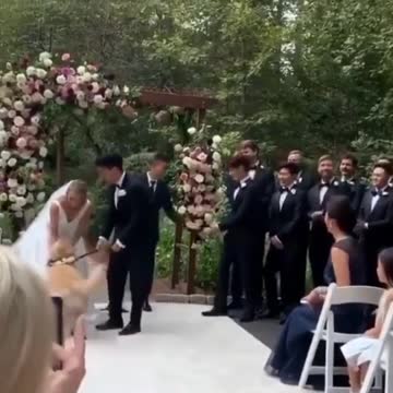 #love #foryoupage #animaux #chien #foryou #pourtoi #goldenretriever #tiktokanimals #