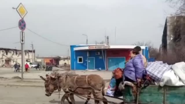 Residents of Mariupol even use animals to leave the city