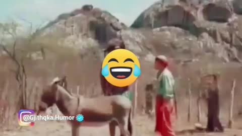 Funny video