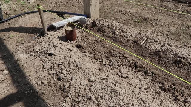 How to get better seed germination in clay soil