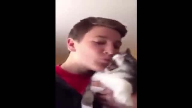 my pets troll me