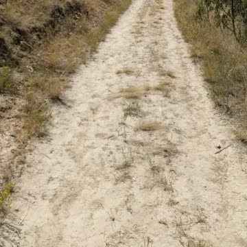 Cress Creek Idaho Hike Hiking