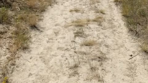 Cress Creek Idaho Hike Hiking