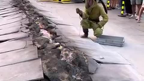 Stranger Things | Happening In Madrid