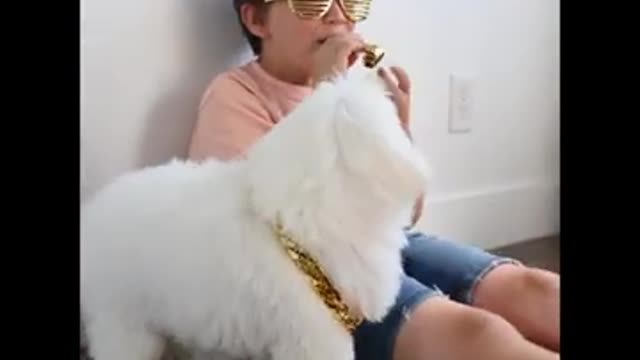 Funny Dog Video😂😂