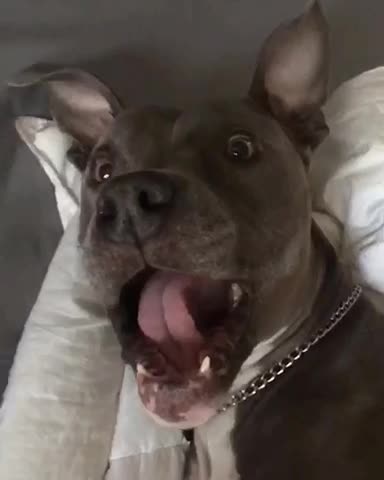 When you wake up and she was hella cuter last night with your beer goggles on!