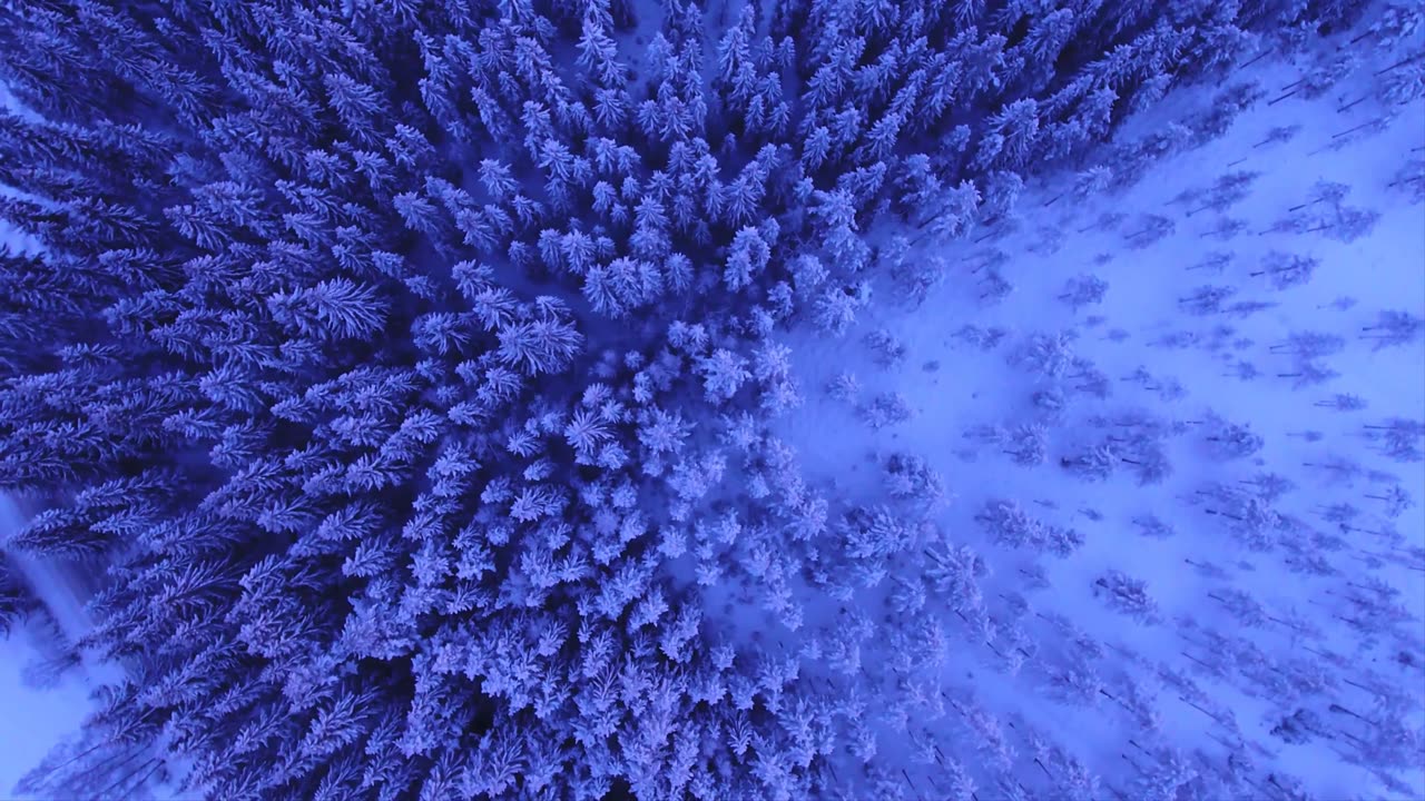 1 Hour Deep Relaxation | Best Calm Down Relief | Peaceful Meditation Music