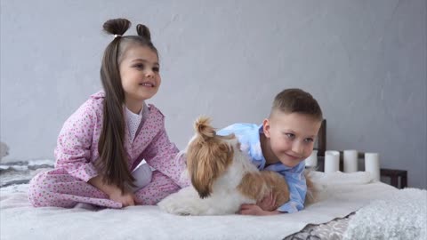 Little girl and boy cuddling with dog on bed. Happy childhood and family concept