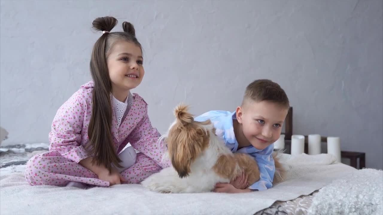 Little girl and boy cuddling with dog on bed. Happy childhood and family concept