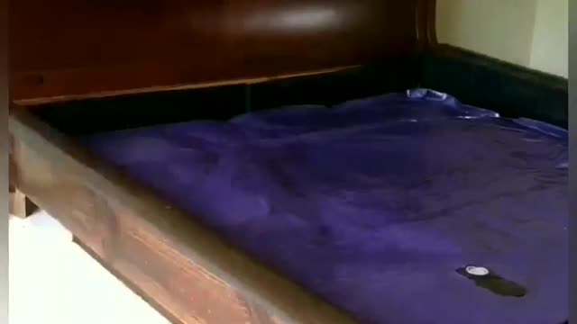 Setting up a waterbed in 7 seconds. Won't take much time for you to watch it.