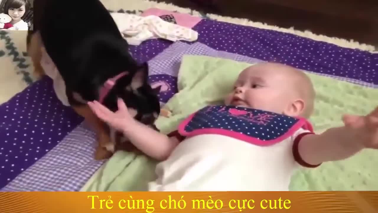 funny animals videos, funny kids, kids jokes, funny videos