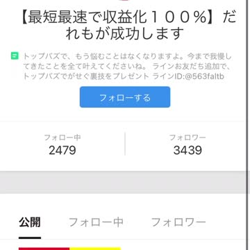 【無修正】TikTok系列サービスで詐欺師が複アカの理由について語ります！！(概要欄要閲覧)