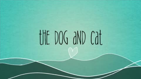 Cat and Dog Love Movie