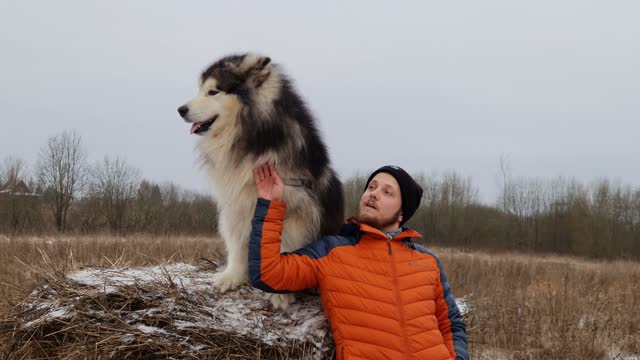 Man Posing With Alaskan Malamute Dog Outdoors