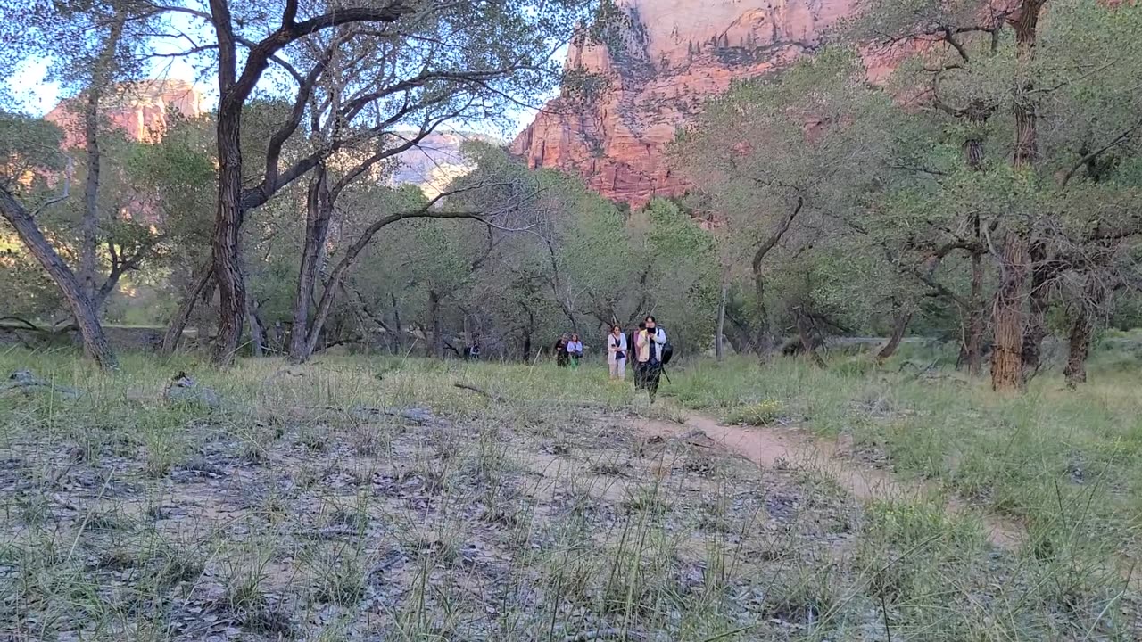 Zion National Park - Utah