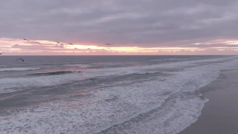 A new day