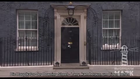 Die Hauptkatze der Downing Street, Larry, kam heraus, um Liz Truss zu treffen. Journalisten versam