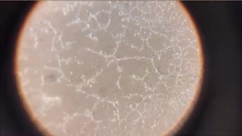 Pfizer_BNT vaccine_輝瑞疫苗，在顯微鏡下_12分鐘的變化～