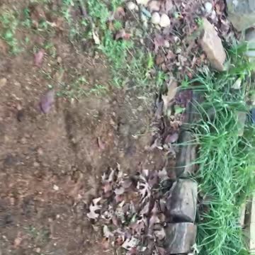 French Drain | Almost Finished