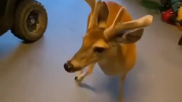 How cute they are! They are just hungry