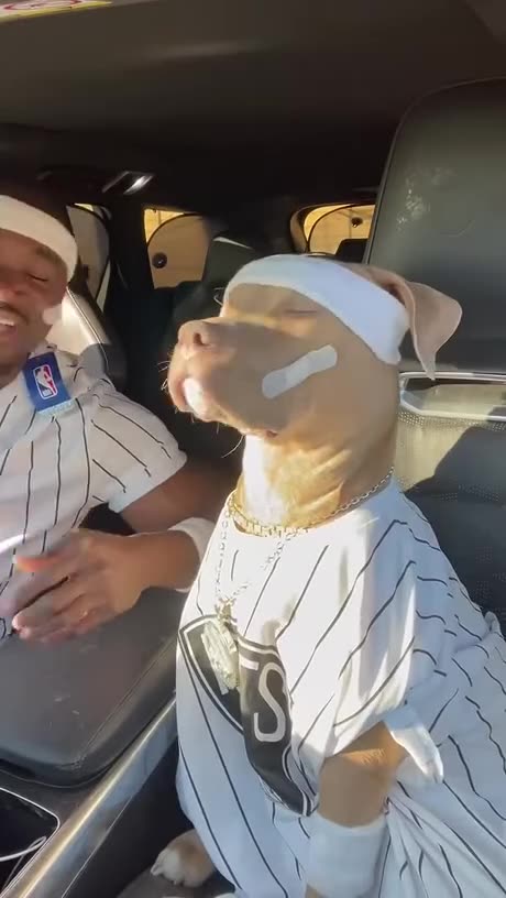 The dog was like u are getting out of character homie