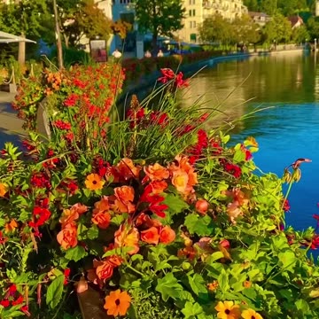 Heaven in Swiss 👀🤑🤑🤑