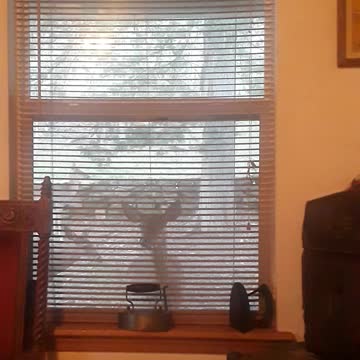 One of My Deer, Babe, Peeking in My Window