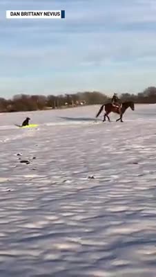 Dizzy Dean the Border Collie goes on sledding ride pulled by horse