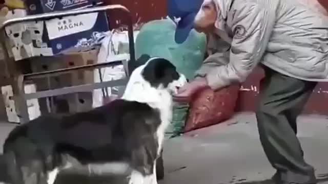 Men Help the Dog to drink water