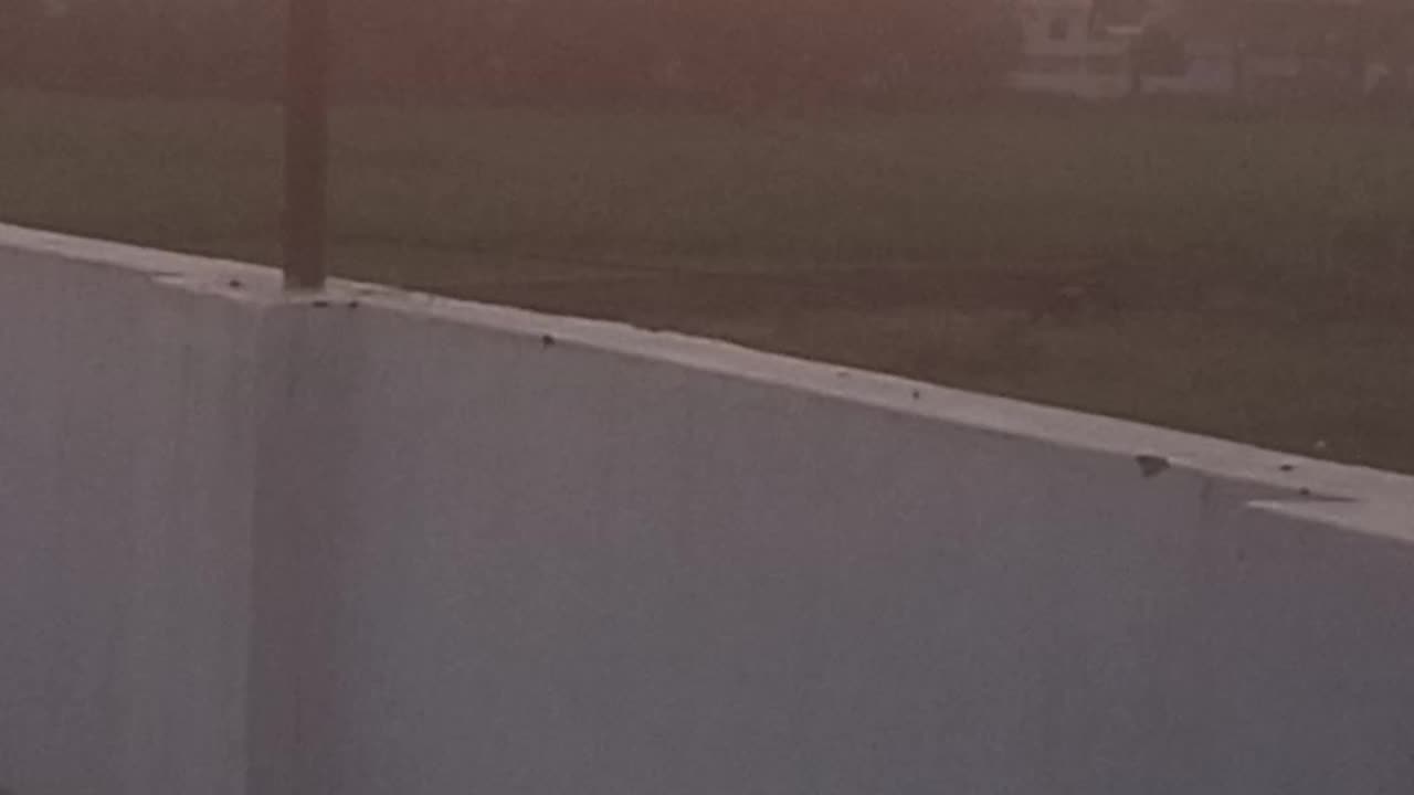 Evening view