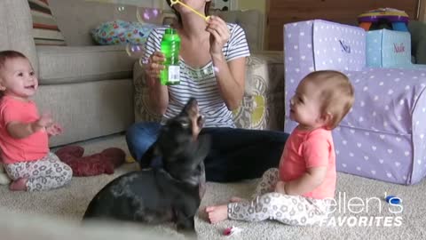 Ellen's Favorite Babies Laughing