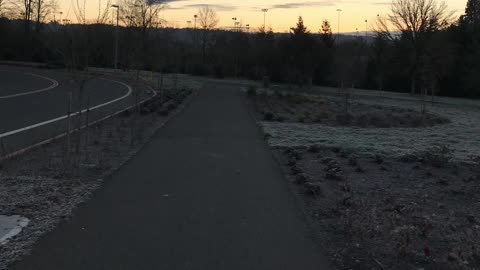 The Bible reading of the day: Exodus 10:21-29 and Mathew 26:47-56