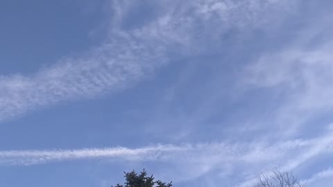 Massive Chem Trails in Southern NJ 03-12-21