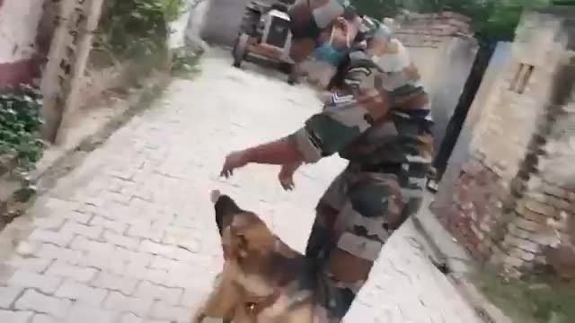 Dog very excited when meet old owner . Dog unconditional love for army soldier very loyal dog.