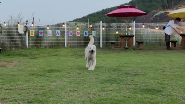 I like the playground the best