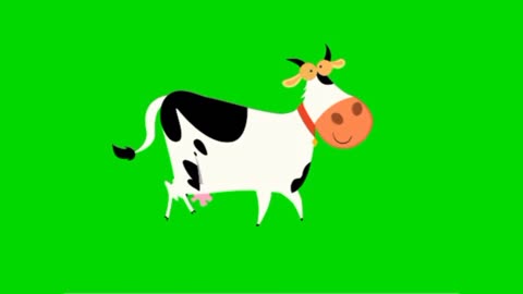 Cow walk green screen video