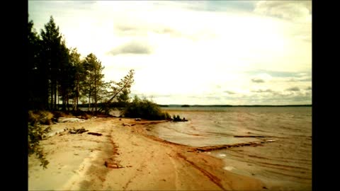 Journey to life - Indy Angel