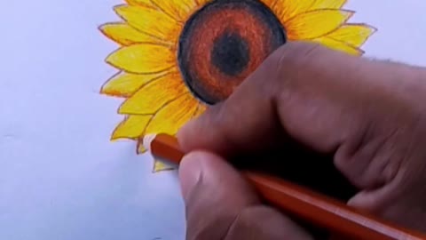 How to Draw a realistic sunflower drawing | Similar