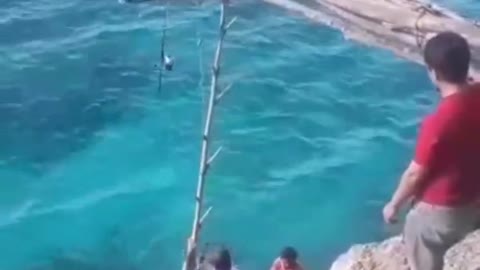 This is a beautiful and charming water-dwelling species