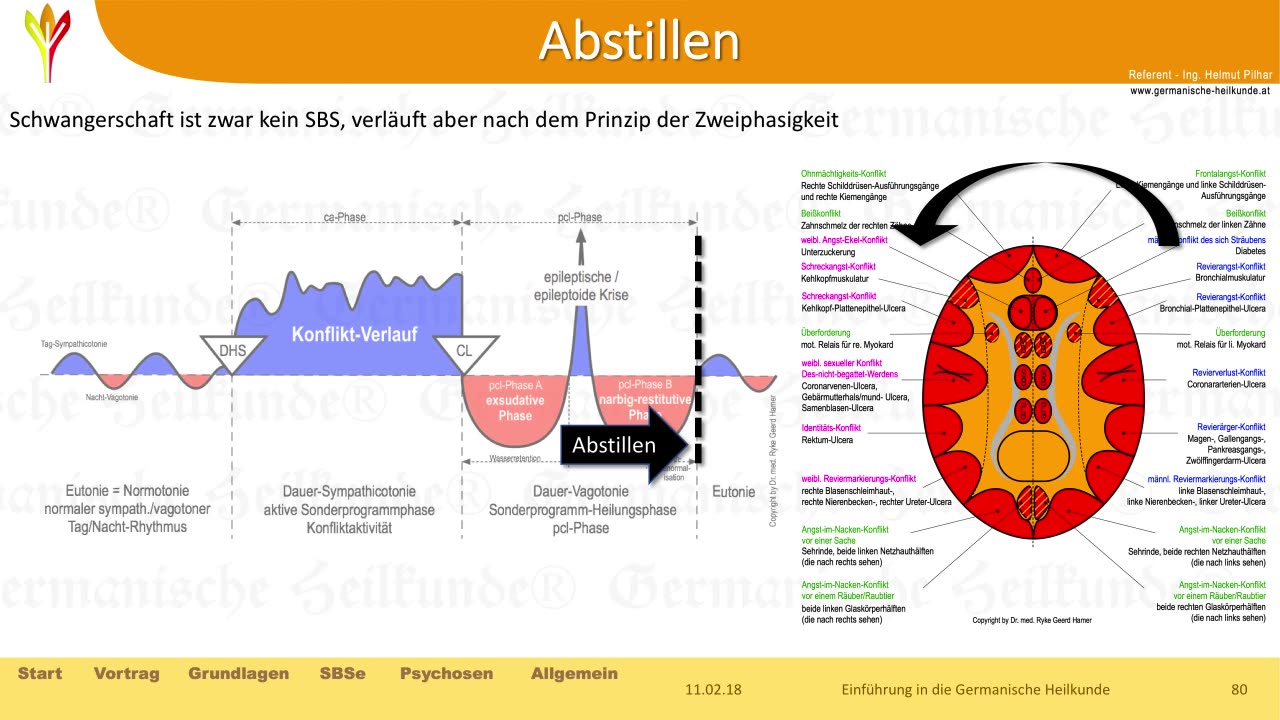 Die 5 biologischen Naturgesetze - Wie funktioniert mein Körper?