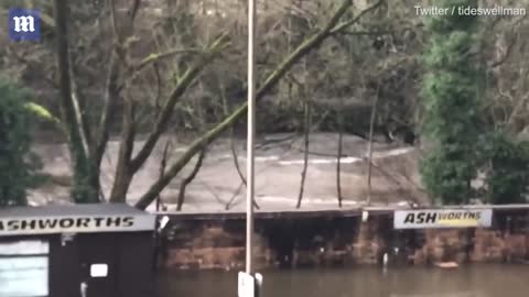 Storm Franklin_ Digger floats down river and Boris bike nearly blown into air