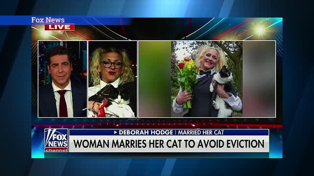 Woman Marries Cat to Avoid Eviction