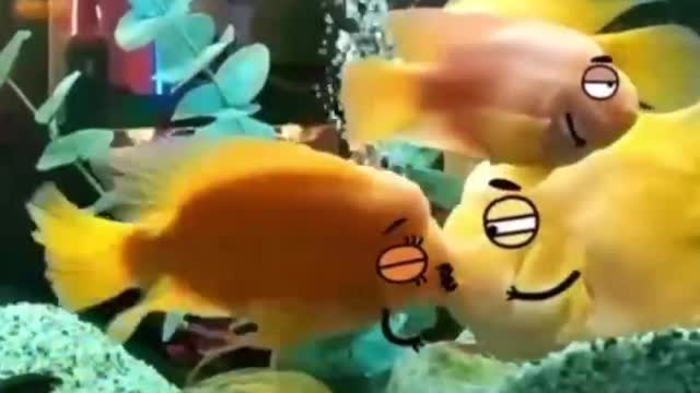 These animals are so cute