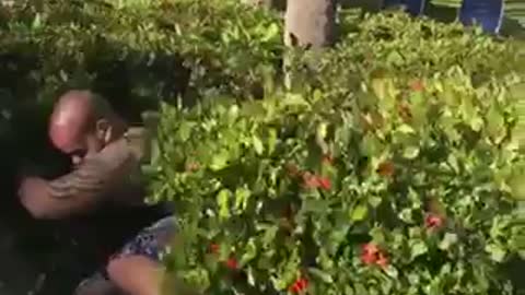 Collab copyright protection - flower shorts guy jumps into bush