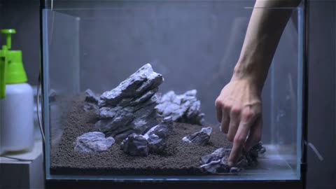 Setup Nature Aquarium Step-by-step