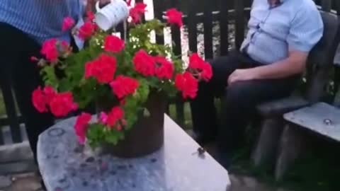Секретный сейф