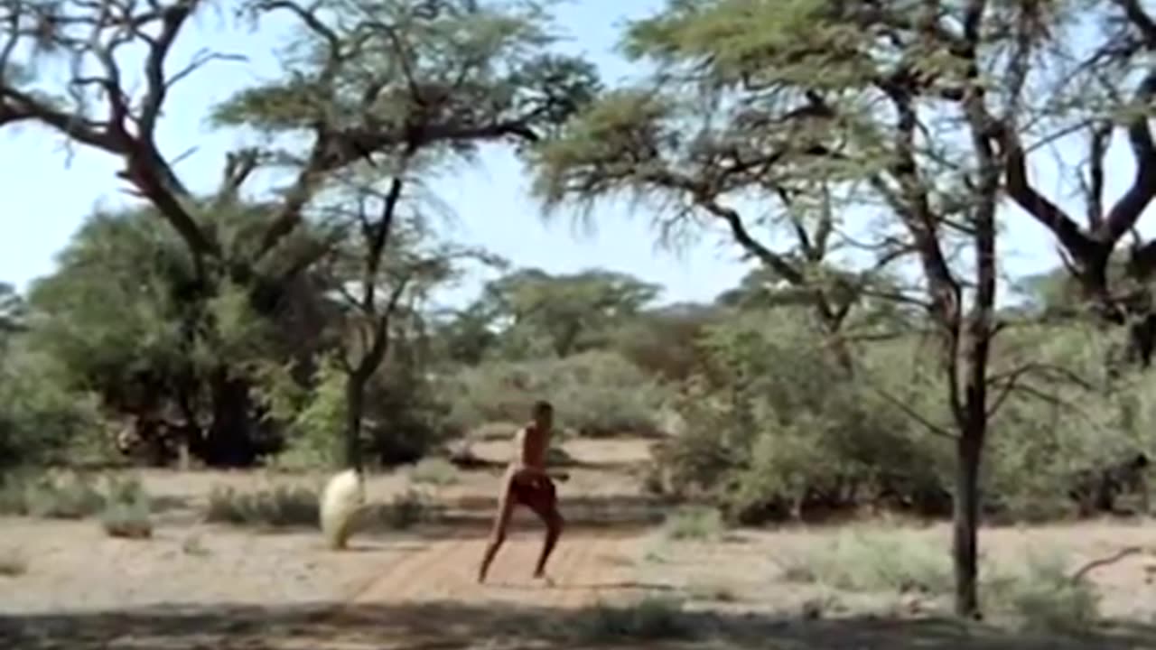 The God Must Be Crazy 2 ( 360 X 492 )