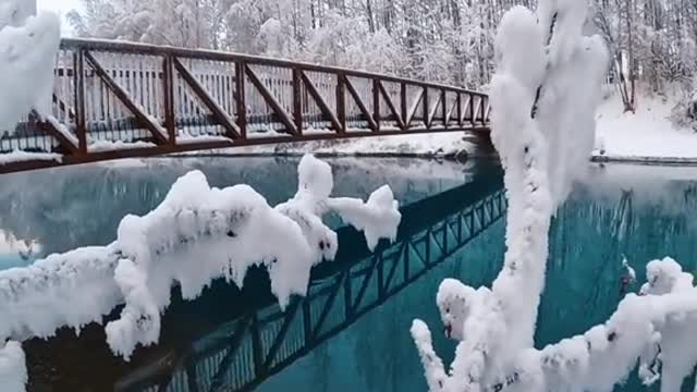 Frozenwinterforestsandfreshwaterriver#alaska
