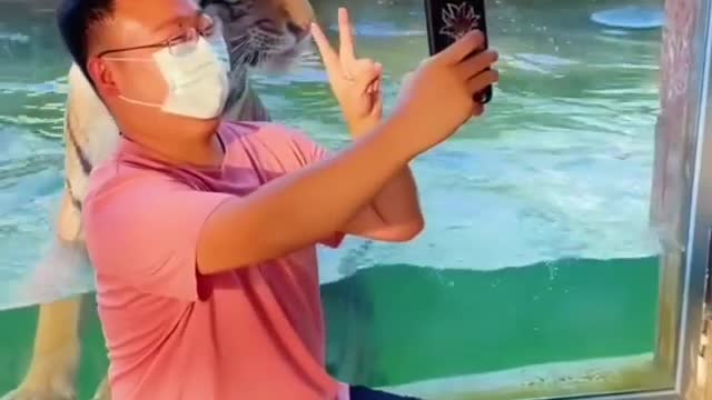 Videos top