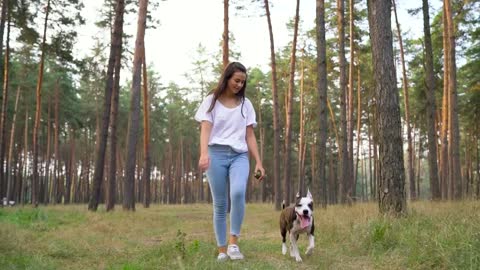 Girl playing with her dog in the forest at sunset